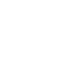 the-lanrex-100-day-guarantee