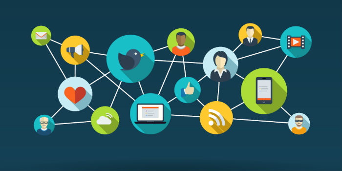 In search of enterprise social network success